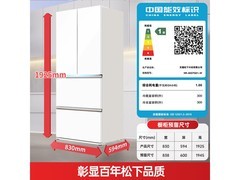 Panasonic挪威海600L冰箱直降