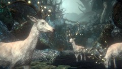 帕斯卡契约：一无四禁通关心得