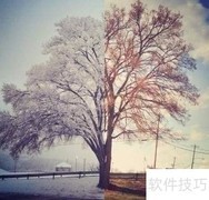 新手建站系统选择指南
