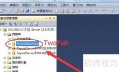 SQL数据库导出方法