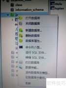 数据库导出方法指南
