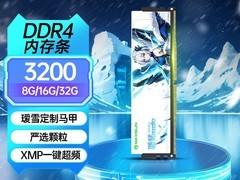 铭瑄瑷雪D4 32G双通道内存条促销