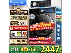 小天鹅小乌梅3.0轻享版洗衣机低价购