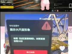 小团团直播绝地求生因皮肤被系统误判大尺度临时中断