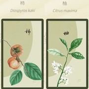 老农种树答题技巧大全