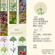 老农种树答题技巧大全