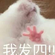 咸鱼之王俱乐部玩法全解析