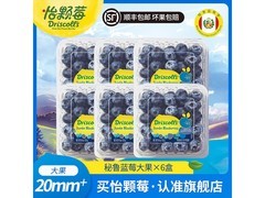 怡颗莓秘鲁蓝莓125g*6盒，原价94.9，满减后89.9元