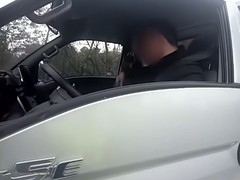 司机高速应急道玩手机被罚