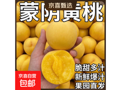山东蒙阴黄桃蜜油桃5斤，满减后17.99元速抢！