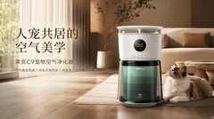 养猫家庭必看！宠物空气净化器怎么选？