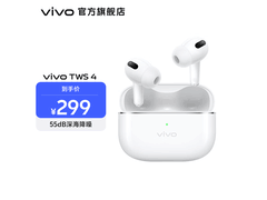 vivo TWS 4真无线降噪耳机