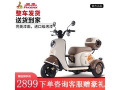凤凰甲壳虫新国标电动三轮车到手2799元