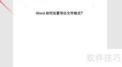 Word导出文件格式设置方法