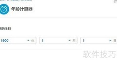 计算专家年龄计算器使用指南