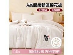 AVIVI冬季双人被芯，折后83.3元速抢