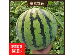 京东包邮！美都麒麟瓜券后13.2元，清甜度夏！