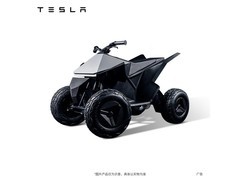 特斯拉儿童电动沙滩车9029元
