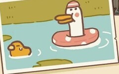 动物餐厅信件获取攻略