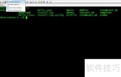 SecureCRT文件传输技巧