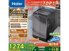 海尔12kg变频波轮洗衣机