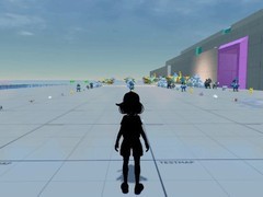 宝可梦新作早期测试画面曝光引争议