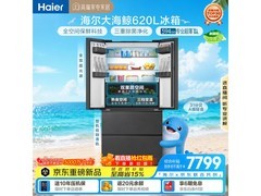 海尔大海鲸620L法式冰箱