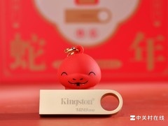 Q萌可爱 金士顿DTSE9G3蛇年版U盘赏析
