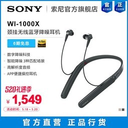 6ϢSony/ WI-1000X 
