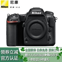 ῵ (Nikon) D500 뵥    (޾ͷ)