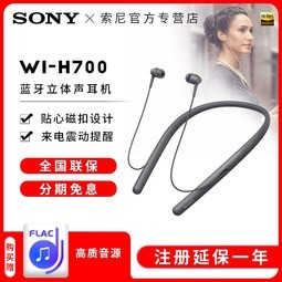 ȯSony/WI-H700Ҳʽͨܲ˶