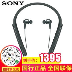 ᣨSONY ʽWI-1000Xɫ
