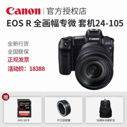 Canan/ EOS R (RF 24-105mm F4 LIS USM) ȫרҵ΢׻