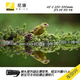 ῵AF-S 200-500mm f/5.6E ED VR Զ㳤佹ͷ ȫ¹