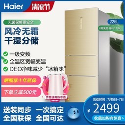 Haier/ BCD-225WDGKŷ˪Ƶýһص