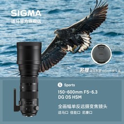 ϢSigma150-600mmF5-6.3DG SרҵԶ佹ͷ ȫ