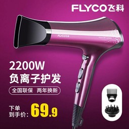 ɿ(FLYCO)FH6273紵ôʴͲ 2200W FH6273