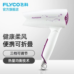 ɿƹٷ콢꡿ɿƣFLYCO FH6257紵۵ 1200W ɫ