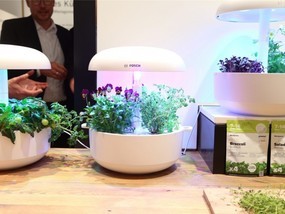  IFA experience: is it popular to grow a dish in the living room kitchen this year?