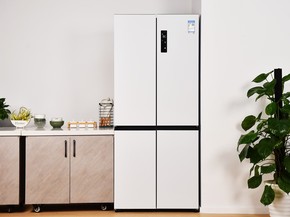  Double system 0 flavor+58cm ultra-thin flat inlay, TCL T9 Pro refrigerator picture appreciation