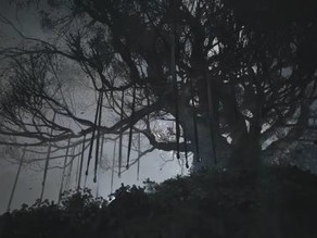 Project Rabbit����