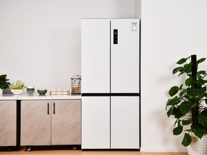  Double system 0 flavor+58cm ultra-thin flat inlay, TCL T9 Pro refrigerator picture appreciation