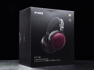 Ʒζľ붯ȦĶɰFT13ͼ