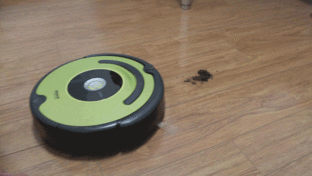 ͸ iRobotɨĵ 
