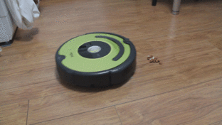 ͸ iRobotɨĵ 