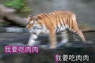 Сԭظɷ Ƽɷ˽ɳ 