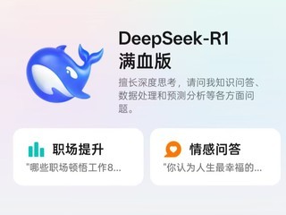 ٵȡæ СѪDeepSeek-R1