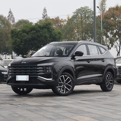 20��Ԫ������ʵ��������7��SUV��Ⱥ���