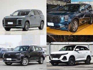 20��Ԫ������������7�˵�ʵ����SUV���ʵ���Ƽ�
