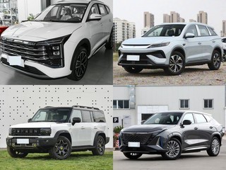 20��Ԫ���Ŀ�ʵ���Ͳ��5��SUV��Ⱥ�����˭��ʤ��ȫ�ҳ���